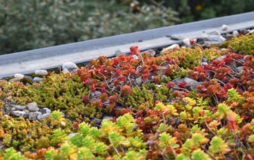 the cost of Hennock green roof installation
